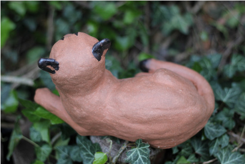 Puma americká — foto 5