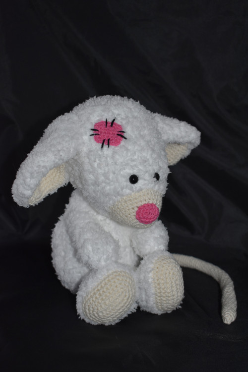 Myška — foto 4