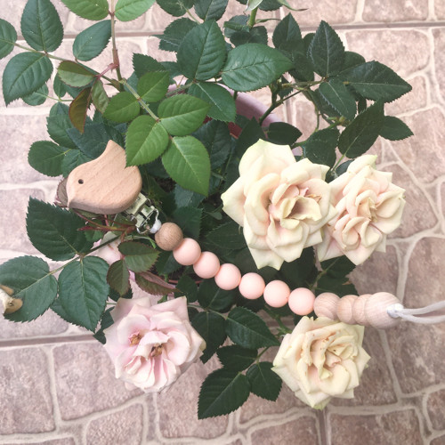 Klip na dudlík Rosebud — foto 4