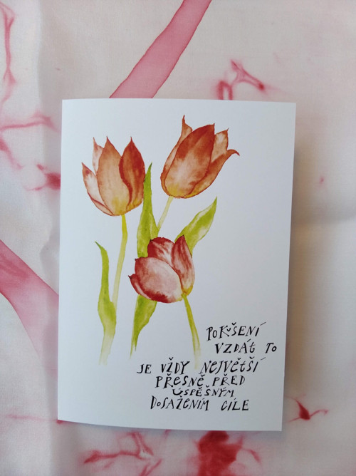 Přáníčko tulipánkové — foto 2