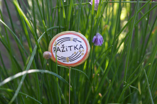 *** BAZALKA MÁTA PAŽITKA *** sada zápichů — foto 3