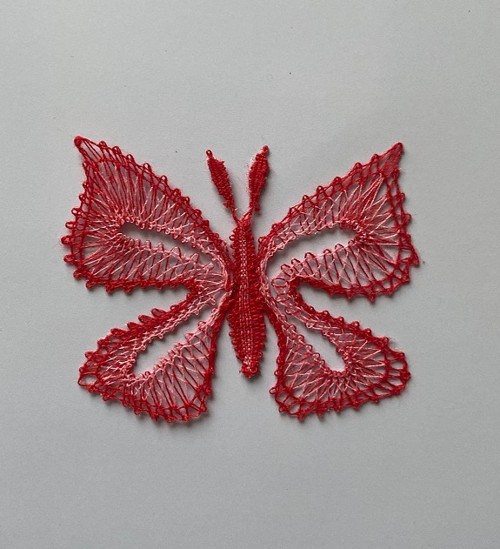 Motýlek Dorotka — foto 2