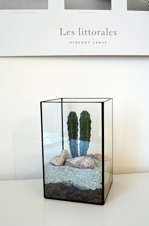 Florarium "Kvádr" — foto 3