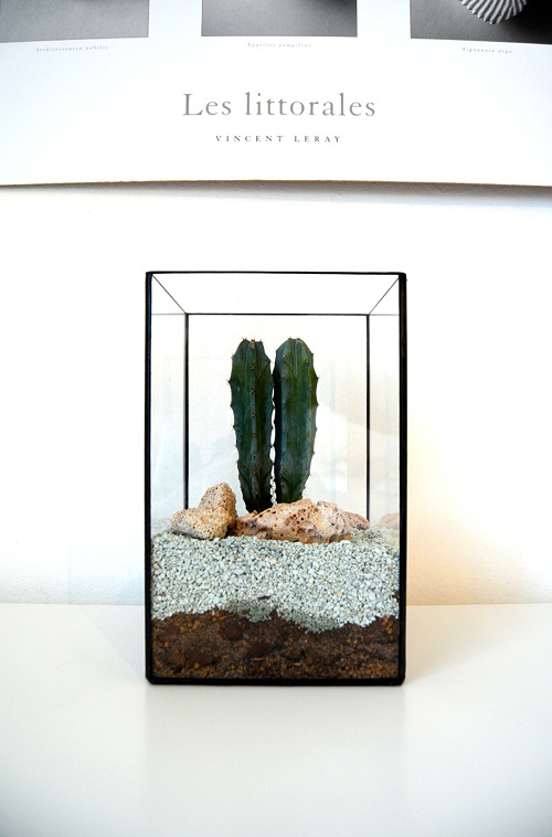 Florarium "Kvádr" — foto 2