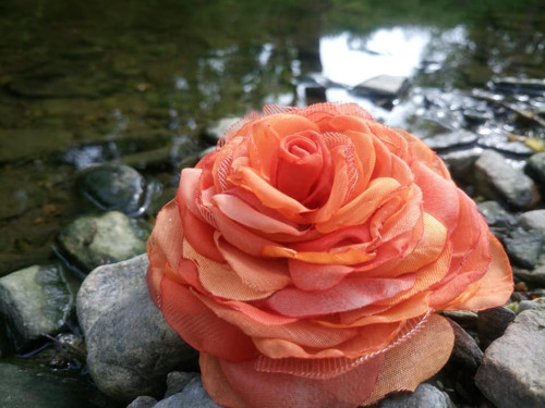 Orange — foto 2