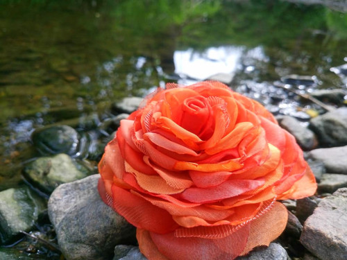 Orange — foto 4