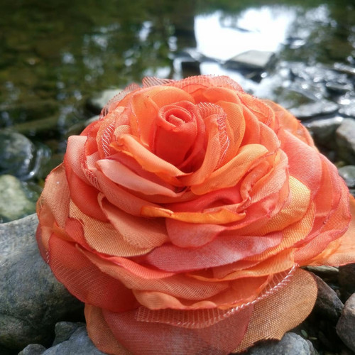 Orange — foto 5