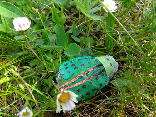 Meduška Lesní (Meda Sylvatica) — foto 5
