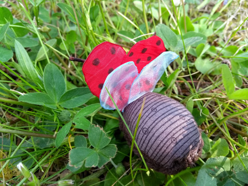 Beruška Brusinková (Coccinella Rhodococcus) — foto 3