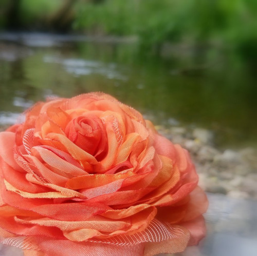 Orange — foto 6