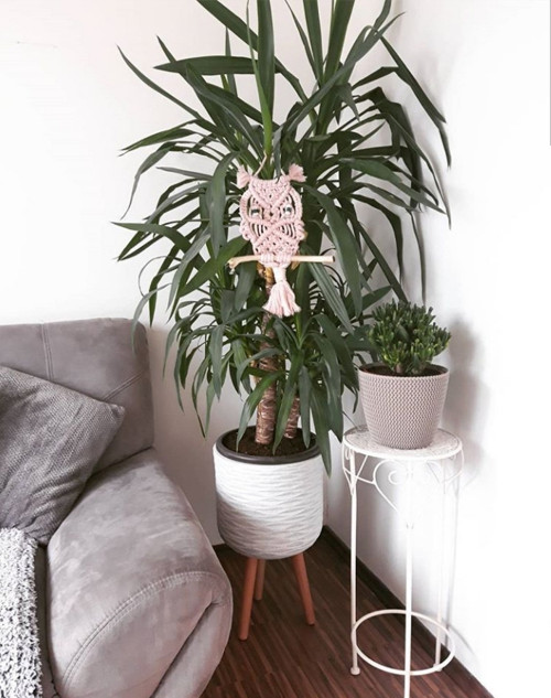 Macramé sova — foto 2
