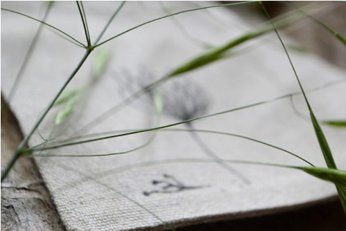 Lněný pytlíček - Herbarium — foto 3