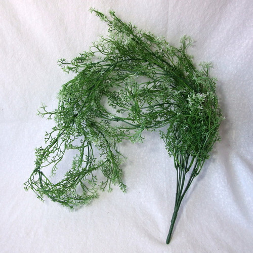 Převislý kopr, 80 cm — foto 3