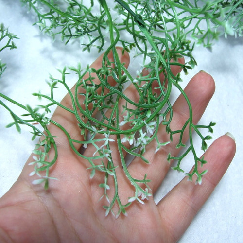 Převislý kopr, 80 cm — foto 2