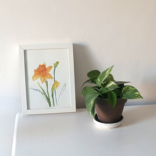 Narcisky II. - akvarel - originál — foto 5