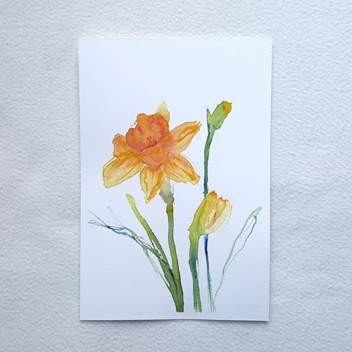 Narcisky II. - akvarel - originál — foto 2