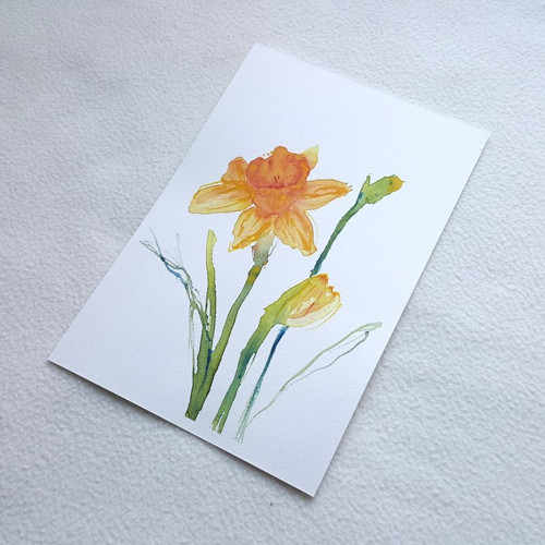Narcisky II. - akvarel - originál — foto 4