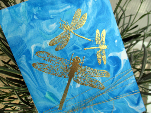 Dragonflies — foto 3