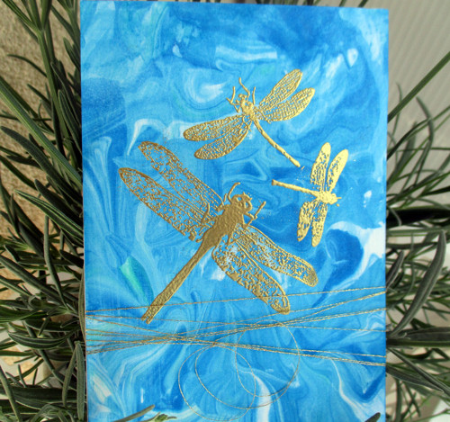 Dragonflies — foto 2