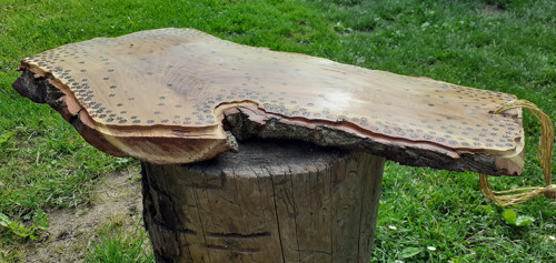 Akátové servírovací prkýnko — foto 3