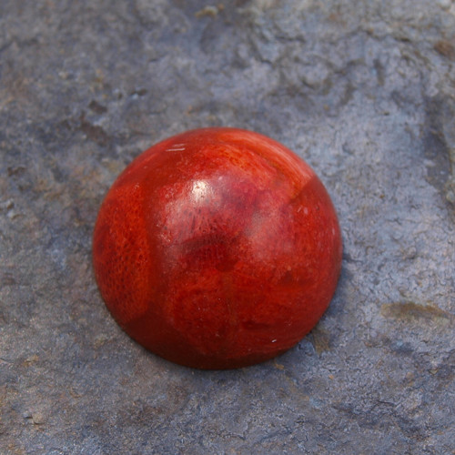Korál, kabošon 2,2 cm, č.2219 — foto 4