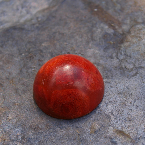 Korál, kabošon 2,2 cm, č.2219 — foto 2