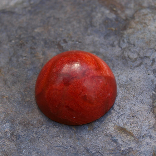 Korál, kabošon 2,2 cm, č.2219 — foto 3