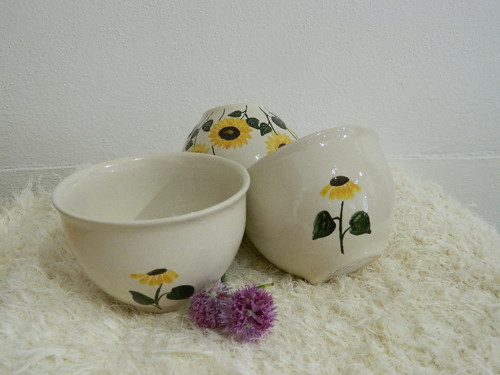 Kompotka slunečnicová — foto 2
