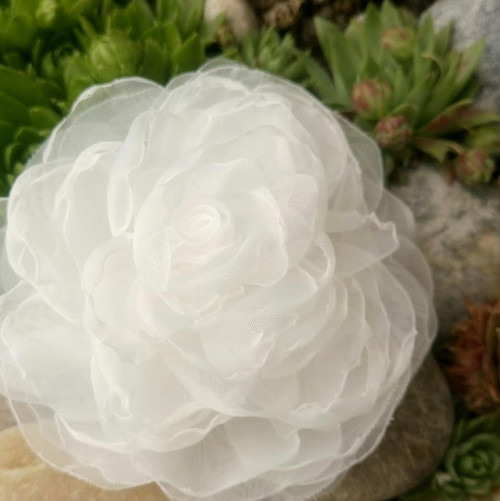 White — foto 2