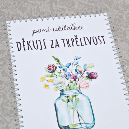 SLEVA Poděkování paní učitelce — foto 2