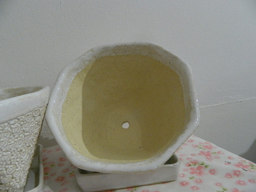 Na levandulku — foto 5