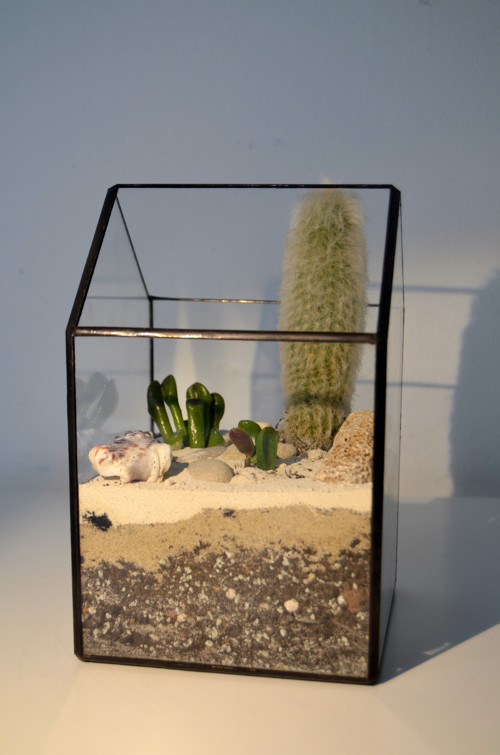 Florarium "Domeček úzký " — foto 3