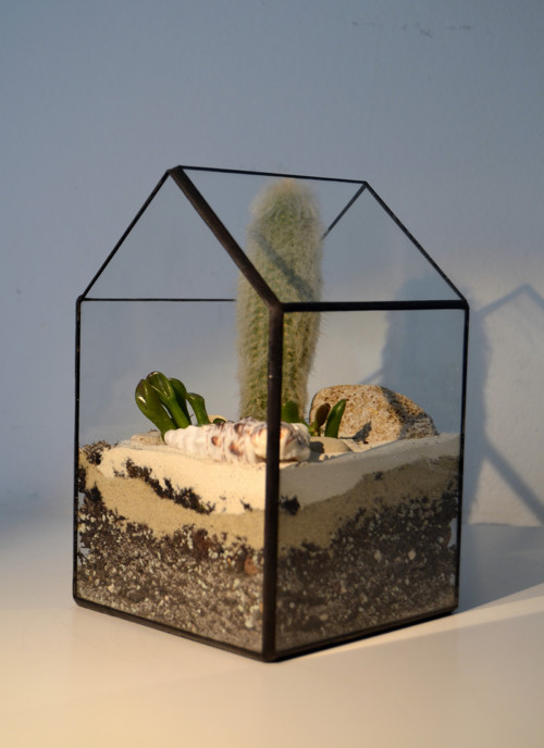 Florarium "Domeček úzký " — foto 2