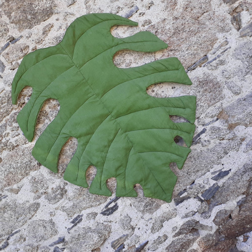 Monstera — foto 2
