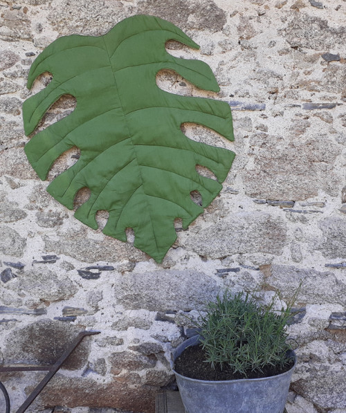 Monstera — foto 3