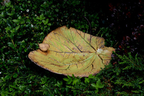 Pítko pro ptáčky-list 40x42 cm-ihned — foto 4