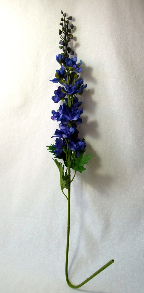 Ostrožka modrá, 79 cm — foto 2