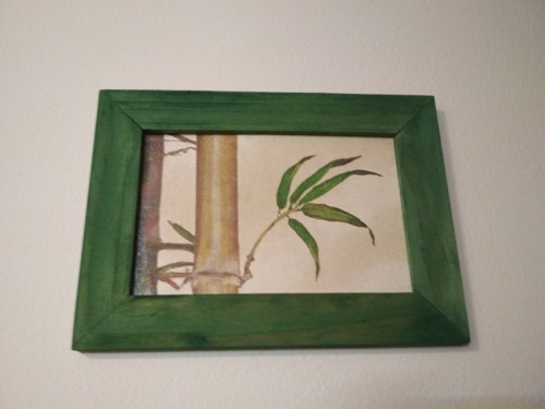 Bambus — foto 3