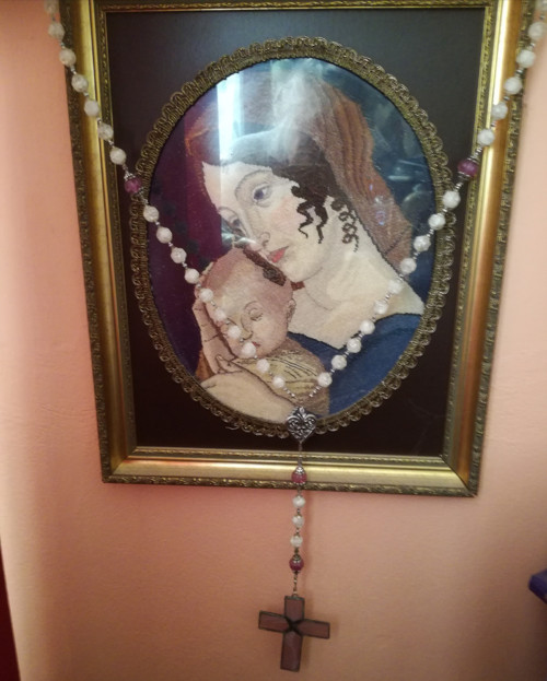 Maxirůženec sněhový — foto 2