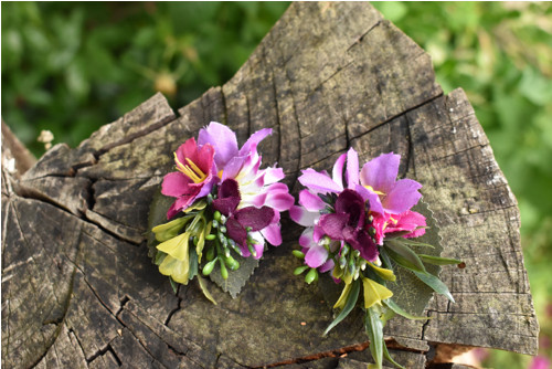 Lučnátka — foto 2