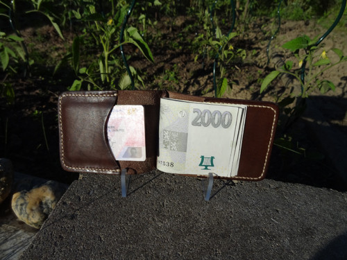 Dolarovka tmavě hnědá — foto 3