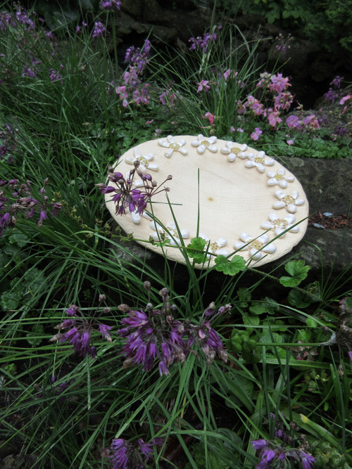 Žluté tečky — foto 3