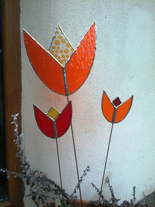 Tulipán - velký — foto 4