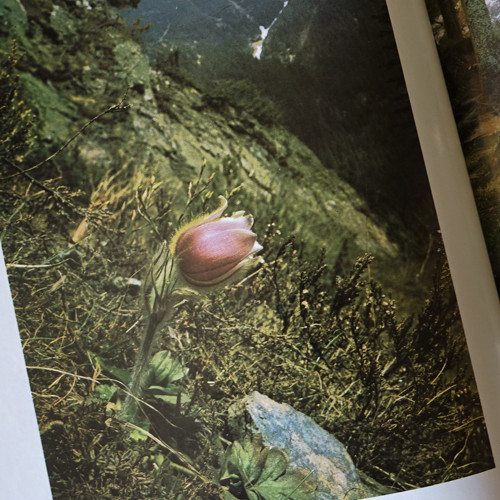 Krkonoše — foto 6