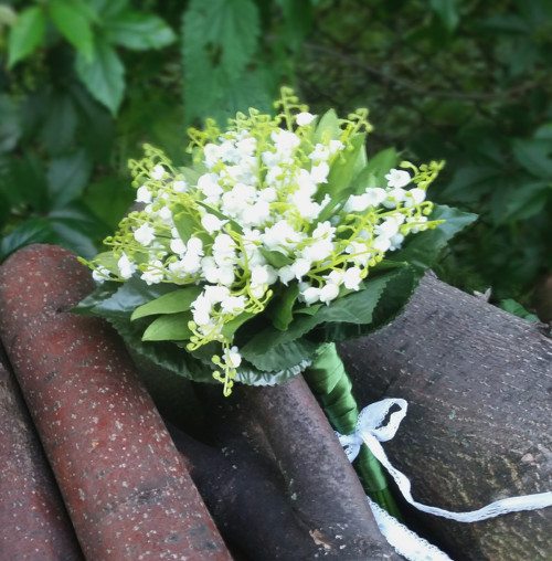 Kytička "Konvalinková" - rezervace — foto 2