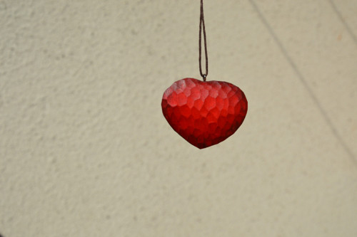 Hřejivé srdce — foto 3