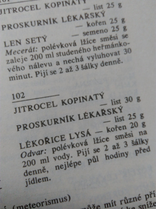 Léčivé rostliny III. — foto 4