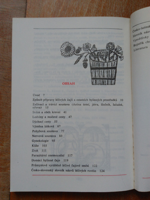 Léčivé rostliny III. — foto 3