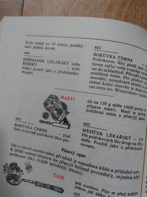 Léčivé rostliny III. — foto 5