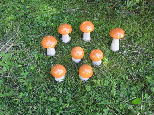 Vyrostly nám křemenáče — foto 2